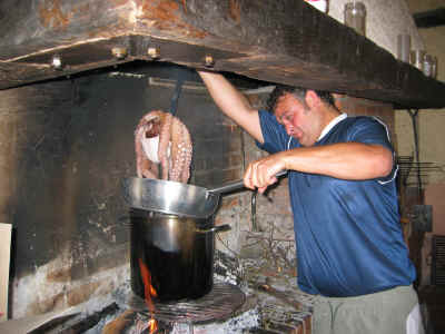 Asustando al pulpo Asustando al pulpo